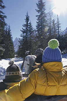 Pferdeschlittenfahrt im Kronplatz