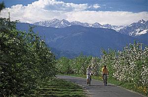 Fahrradfahren in Meran