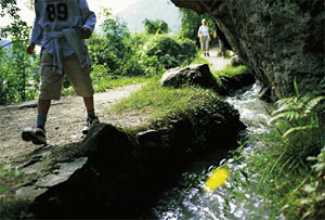 Wandern in Meran