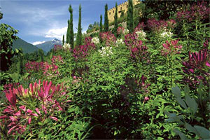 Meran Schloss Trauttmansdorff