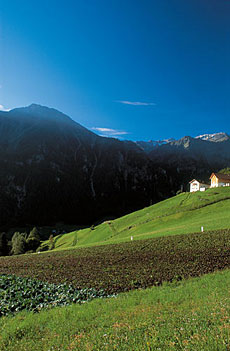 Nationalpark Stilfser Joch