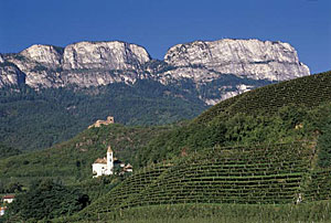 Landschaft bei Eppan an der Weinstraße