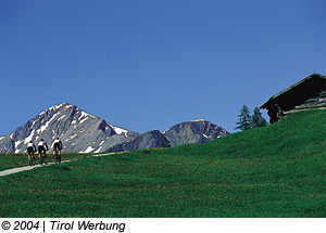 Mountainbiker in Tirol