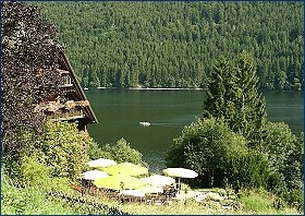 Urlaub in einer Ferienwohnung mit Hund am Titisee im Schwarzwald