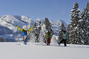 Winter in Toggenburg