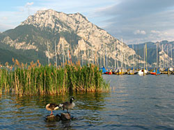 der Traunsee im Sommer