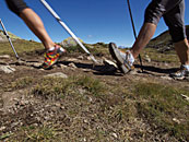 Val di Fiemme - Fleimstal, Nordic Walking