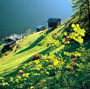 Valle di Rabbi, Hütten - Trentino