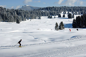 Langlaufen im schönen Trentino