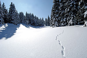 verschneite Landschaft im Trentino