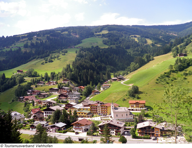 Viehhofen im Sommer