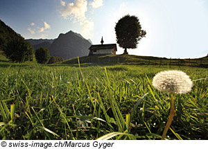 Naturpark Gruyère Pays-d'Enhaut, Waadt