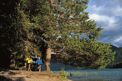 Wandern am Weissensee