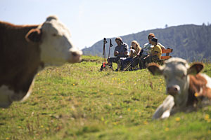 Wanderurlaub in Werfenweng