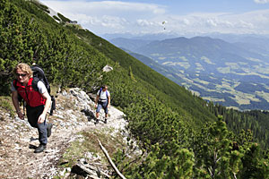 Wandern in Werfenweng