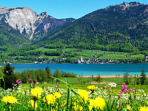 Frühling am Wolfgangsee