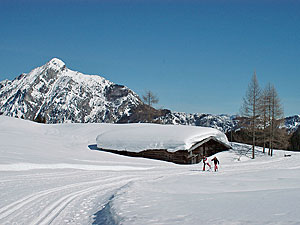 Langlaufen am Wolfgangsee