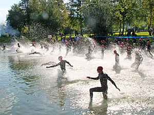 Schwimmstart am Wolfgangsee