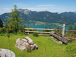 Wandern am Wolfgangsee