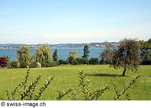 Radfahren am Zürichsee, Schweiz